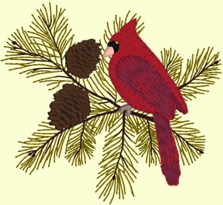 7cardinal_branch.jpg